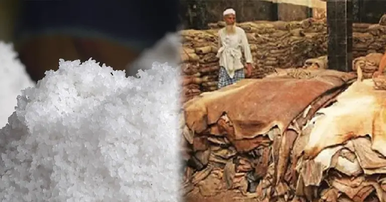 লবণ ও চামড়ার বাজার